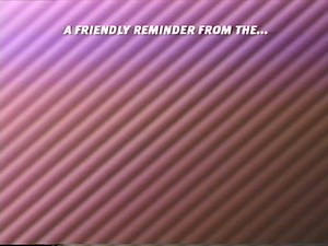 Opening To Rainbow Bridge ( 2000) VHS By RHino Home Video HQ
