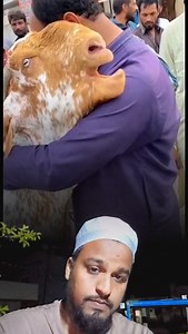 3.1K views · 313 reactions | Emotional video qurbani goat  crying vairal video #bakreed #bakreedspecial #bakreed #vairalvideo | Shaik Noor | Facebook