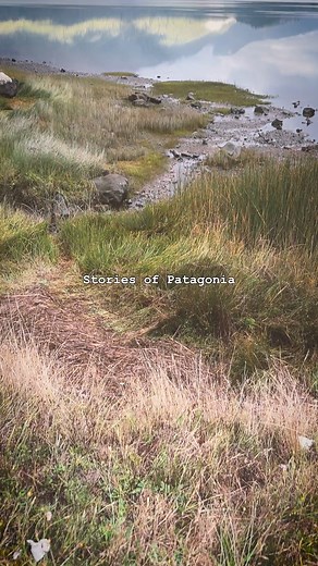 3.8K views · 13 reactions | Patagonia ️懶 #stories #mauistories #patagonia | Maui and Sons | Facebook