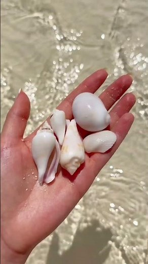 You and me, zanzibar together? 🏝🐚☀