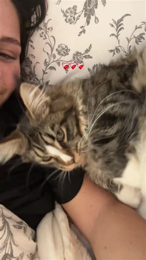 Rose Theron Heart Surgeon Story