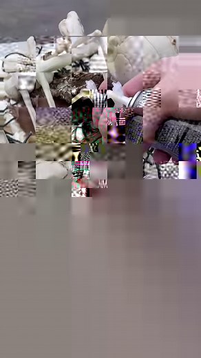 Check out this DIY halloween decoration. It’s a super easy and fun home decor project you can tackle in a a couple hours. Drop me your questions and comments. Pro tip: Wear gloves when using spray foam. I learned that one the hard way 😂 Happy Spooky Season, friends 🎃 👻 #halloween #halloweendecor #halloweendecorations #halloweendiy #diy #diycrafts #diyhomedecor #diyproject #diydecor #diyhalloweendecorations #halloweenideas #spookyseason #crafts #halloweenideas #halloweeninspo #firepit #firepit