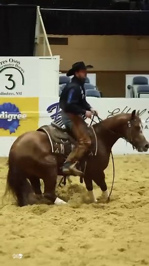 🏆 All eyes will be on Clint Kat Sugar, sired by KIT KAT SUGAR, at the NRCHA Snaffle Bit Futurity Saturday as he steps into the Will Rogers chasing his piece of the $350,000 Kit Kat Sugar Bonus PLUS the $200,000 that comes along with the 2023 Snaffle Bit Futurity Championship title. The stakes are high, and the excitement is building! 🌟 See you Saturday! #6666Ranch #6666Stallion #NRCHAFuturity #KitKatSugar @kitkatsugar_skeet @xitranch @thenrcha @justinwright.performancehorses @nicsheridanoffici