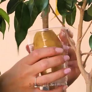 2.2M views · 40K reactions | Eat, plant, water, repeat! Grow your own garden in no time!  | 5-Minute Crafts Family | Facebook