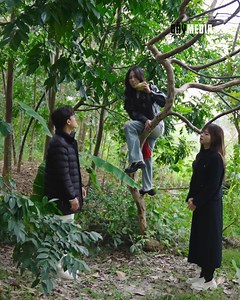 155K views · 3.2K reactions | Báo thủ của 10 năm sau nhưng vẫn không quên thú vui chôm ổi... #gaytv #thuyanh | THÙY ANH | Facebook