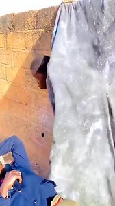 306K views · 2.6K reactions | Bad boy, funny 藍藍藍 @followers Everyone Al Ahly SC Sky Sports BBC News हिन्दी Latinus WWE Middle East & Africa Yawcomedy tv Manchester Evening News Highlights Myanmar 2 Mr Bean Ghana Joy Daisley @ #everyoneシ゚ #yawcomedytv #fypシ゚viralシ #viralreels #FacebookReelsContest #viralreelsfb #fbreels #viralpage2023 #fypシ゚viralシfypシ゚ #viralreelsfbpage #videos #viralpage #viralreel #barbados #jamaica #Guyana | Yawcomedy tv | Facebook