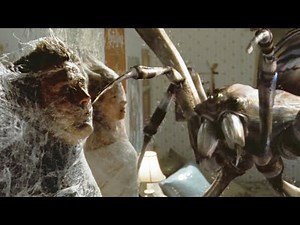 Creepy!!! Killer Spiders Invade And Attack The Entire Town