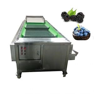 [Hot Item] Hot Selling Fruit Sorting Machine Blueberry Sorting Machine