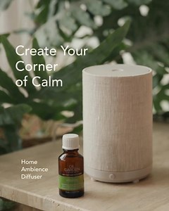 18 reactions | Stressed out? Overwhelmed? A few drops of pure essential oil can transform your space and your state of mind. Our new Home Ambience Diffuser uses gentle, heat-free technology to fill any room with a calming, beautiful scent. Its natural linen cover and mood lighting options make it an elegant addition to your home, helping you create a peaceful sanctuary for relaxation, focus, or better sleep. Start your wellness journey today. | Oil Garden Byron Bay | Facebook