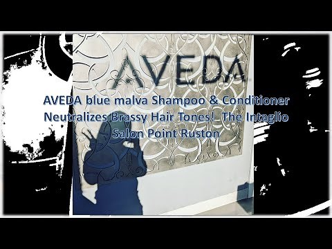 AVEDA blue malva Shampoo & Conditioner Neutralizes Brassy Hair Tones The Intaglio Salon Point Ruston