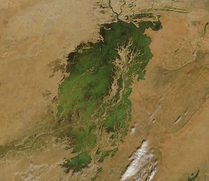 Inner Niger Delta - Alchetron, The Free Social Encyclopedia