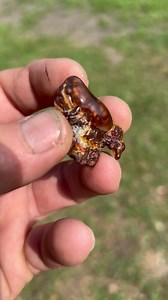 11 shares | I have 74 grams of unfinished fire agate for $200 shipped. Picture of the lot In comments. #fireagateforsale #fireagate #Handmade #HandmadeJewelry #PugZDesigns #HandCrafted #SilverPendant #HeirloomJewelry #Handcraftedjewelry #SilverJewelry #HighendSilver #OneofAKind #OneOfAKindJewelry #SterlingSilver #Silver #Sterling #FineSilver #AmericanMade #MadeInAmerica #MadeInTheUSA #EquestrianJewelry #Equestrian #cabochons #professionalcabochons | PugZ Designs | Facebook