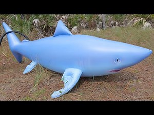 Jet Creations 6-Foot Shark Inflation