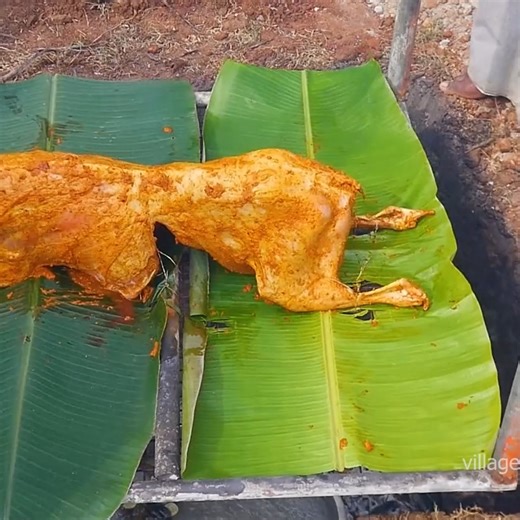 238K views · 2.1K reactions | ஆள் குழியில் முழு ஆட்டுக்கறி #GOAT | Village super cooking | Facebook