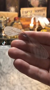 11K views · 197 reactions | Ministry of Magic on Reels | Facebook