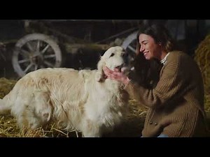 Why we need to end the taboo against zoophilia