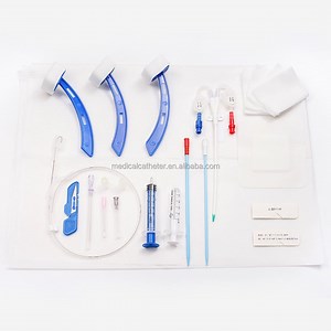 [Hot Item] Able Manufacturer Medical Large Bore Central Venous Catheter Set Hemodialysis Catheter Kit