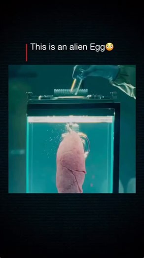 Furqan parwez on Instagram: "Interesting Fact: Alien: Earth (2025) - Survival, Horror, and the Ultimate Threat Alien: Earth is a sci-fi horror series set before the events of the original Alien films. When a mysterious spacecraft crashes on Earth, humanity comes face-to-face with the deadly Xenomorph species for the very first time, turning the planet itself into a battleground for survival. Blending classic Alien terror with modern storytelling, the series explores fear, power, and what happens