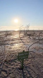 19K views · 810 reactions | Camping at Bombay beach.. ️ | Ryan Twomey | Facebook