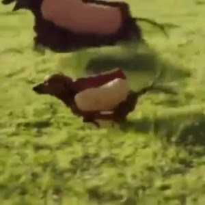 5.5K views · 437 reactions | Get excited #mercystpbs is on after the #superbowl2016 ! #gobroncos | AnnaSophia Robb | Facebook