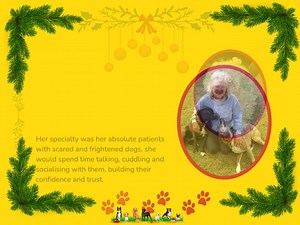 Merry Christmas 🎅 from us to you ♥️🐕 | Skiathos Dog Shelter