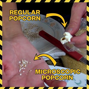 Microscopic popcorn VERSUS regular popcorn!! 🍿 | The King of Random