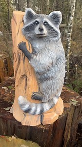 Rocky the Racoon !! Hiding in the tree carving #carving #racoon #trashpanda | Ryan Cook Carvin