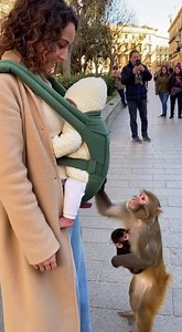 13M views · 471K reactions | Dulce encuentro entre mono y bebé Un...