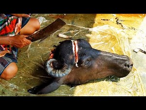 Full Buffalo Head Processing Skill By Expert Butcher || Amazing Buffalo Head Processing Technique