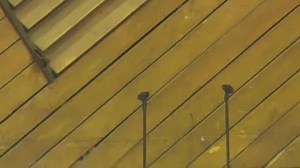 25 reactions | "AZIMIO KUNA DICTATOSHIP IMEFUNGWA NA LESO" FEARLESS MCC WOMAN TRASHES AZIMIO COALITION. | ŨGĨ Media | Facebook