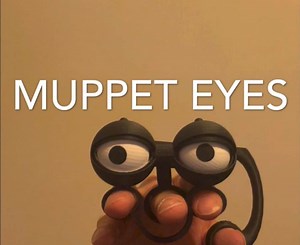 Hand Puppet , Moving Muppet Eyes - Etsy Canada