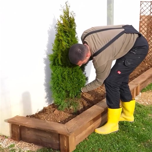 Simple garden bed edging anyone can tackle | Hack Genius