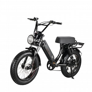 [Hot Item] 20 Inch Fat Tire Mountain Bike Disc Brake Long Saddle Electric Bicycle