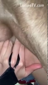 Training dog and daughter