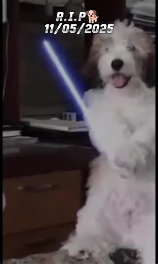 Cuentas recomendadas