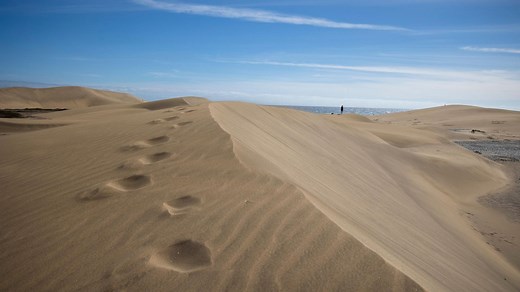 Touristen lieben Sex in den Dünen von Maspalomas – und zerstören damit die Natur