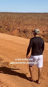 35K views · 531 reactions | Cagada desse tamanho no domingo e pra cair o pica pau do oco #RegistrodeVida | Minha rotina | Facebook