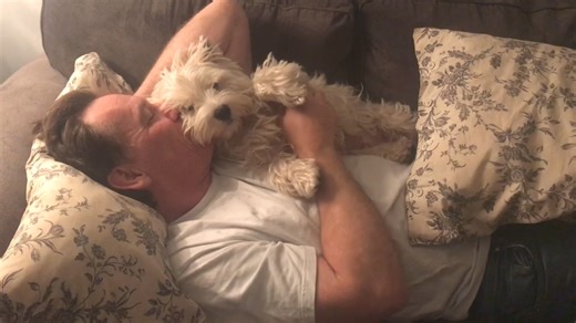 12K views · 1K reactions | Papa loves me very much. He loves to cuddle me and gives the second best belly rubs—Mama’s are the best  | The Piper Chronicles | Facebook
