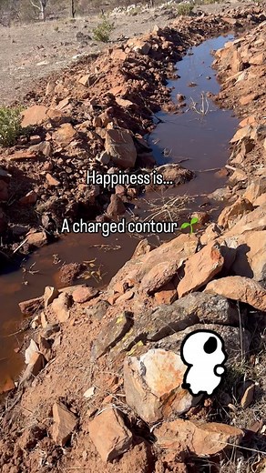 Happiness is a charged contour 👩‍🌾 @jemmstone_solutions #naturalsequencefarming #nsf #contours | Bremer Valley Farms