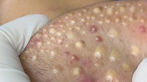 Happy To Watch ! | Doctor Sushi