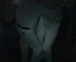 A la Gata le Gusta - Limi-T 21 _ Grado33