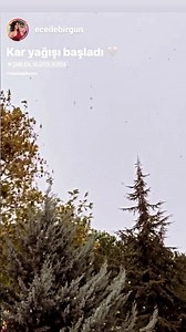 Severe Weather Turkey on Reels | Facebook