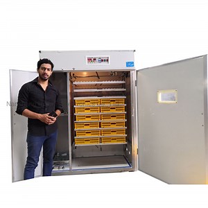 [Hot Item] High Quality Automatic Poultry Chicken Egg Hatching Machine Incubator Hatchery