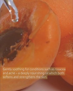 Apricot Kernel Oil is super rich in antioxidants which protect the skin from environmental damage ...which is very important....! The Vitamin E's which naturally occurs in Apricot Kernel Oil has antioxidant properties, which protect against free radicals (which cause damage and age to the skin) and promotes skin cell regeneration....now you see why we love it ! #activeskincare #activeskincareingredients #activeskincare #monuskin #monuskincare #smallbatchskincare #professionalskintherapist | Monu