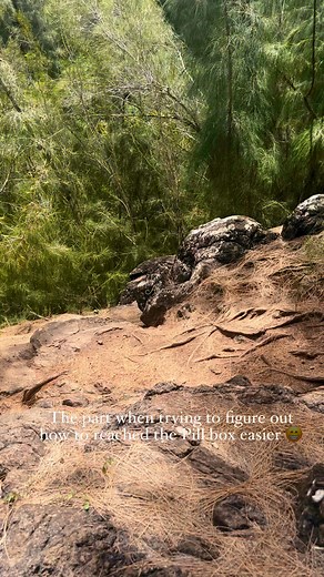 Ehukai Pillbox Trail how to get down challenge haha!🌺🤙 #islandlife #hike #hawaii #oahu | Alicia Agustin Vidal