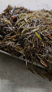 When you finally wrestle the tube cutter out to "clean up" back there...POUNDS of trimmings! #shopstuff #cleaningday #maintenance | Secret Lures Company