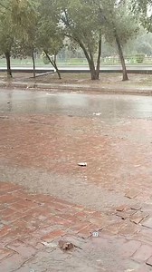 14K views · 256 reactions | Rain at Kasur at the moment. Shared by our most respected member Mr Moequb Tariq. | Lahore Accurate Weather Page | Facebook