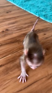 Good morning from Maddox | The Judy Family