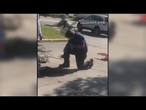 WATCH: Mama duck attacks firefighter