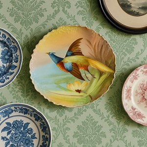 Antique Limoges Hand-painted Bird Plate: French Porcelain Wall Decor - Etsy